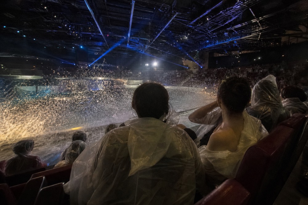An audience in front rows wearing waterproof ponchos during a water show