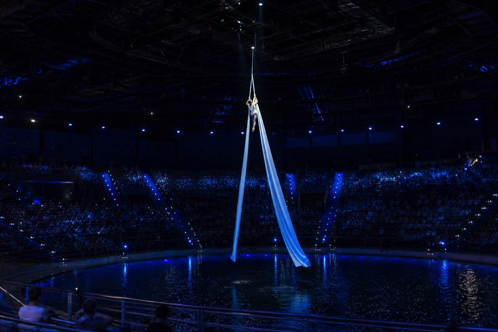 An aerialist suspended on rigging above the water stage with the theatre seating curved around